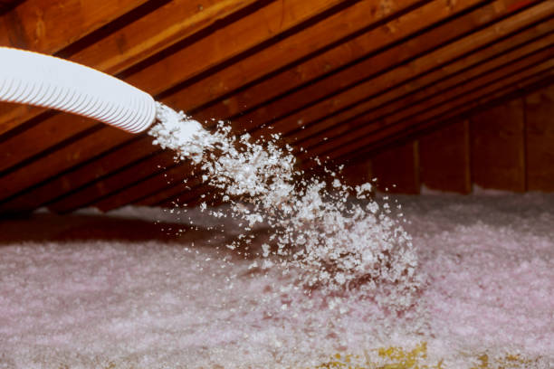 Types of Insulation We Offer in Oakland Park, FL