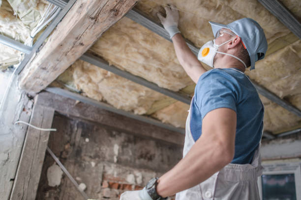 Best Energy Efficiency Insulation in Oakland Park, FL