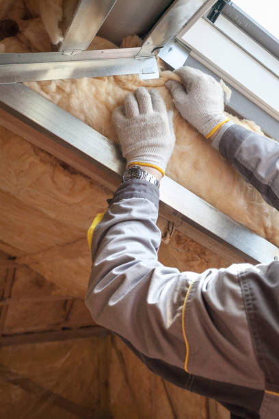 Best Eco-Friendly Insulation in Oakland Park, FL