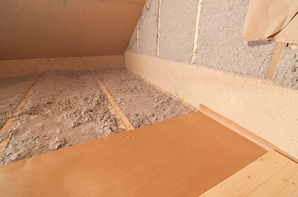 Best Specialized Insulation Services in Oakland Park, FL