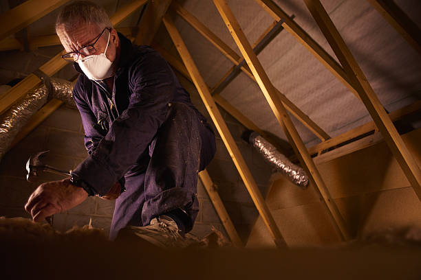 Professional Insulation Contractor in Oakland Park, FL